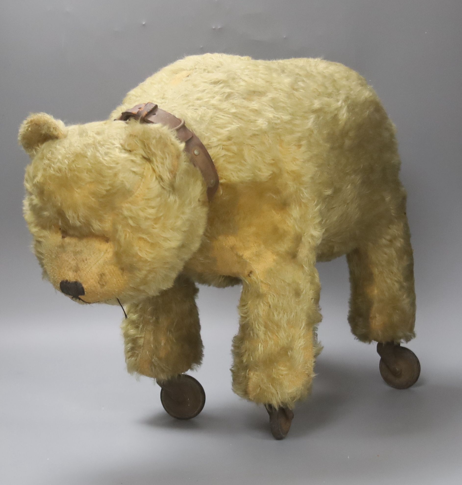 A blonde plush bear on wheels (put on later) 55cm